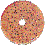 Get Stuffed CD